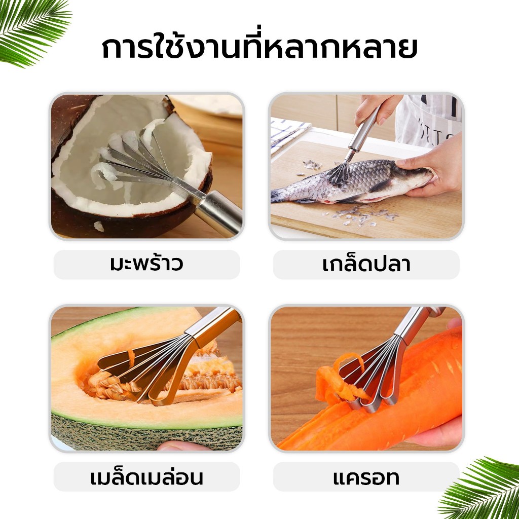 ที่ขูดมะพร้าว อุปกรณ์ขูด Coconut Scooper เกล็ดปลา วัสดุแข็งแรง น้ำหนักเบา ใช้งานอย่างหลากหลาย Alechaung coffee - รูปที่ 4