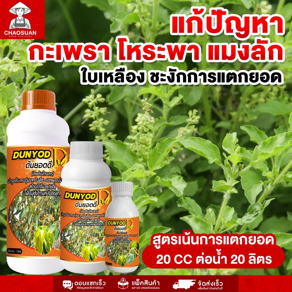 ดันยอดดี แก้ใบเหลือง เร่งแตกยอด กะเพรา-โหระพา-แมงลัก กระตุ้นการแตกยอดใหม่ ใบเขียวสด แข็งแรง สูตรเน้นการแตกยอด เห็นผลไว
