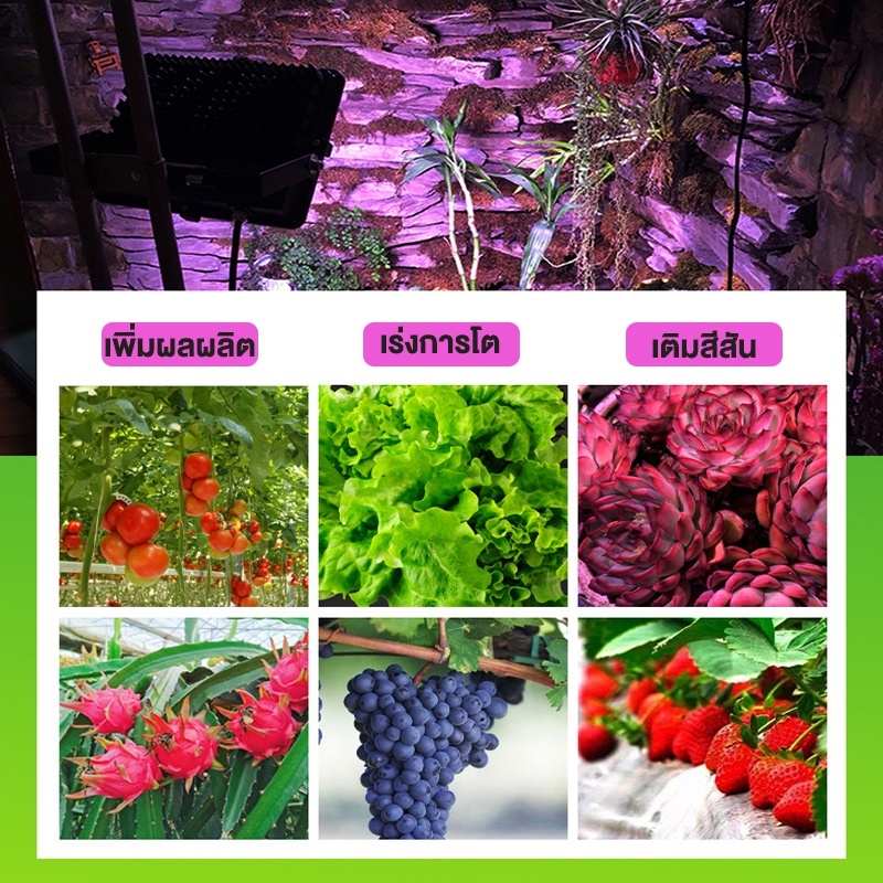 ไฟโซล่าเซลล์สำหรับปลูกต้นไม้ เปิดปิดอัตโนมัติ ไม่เสียค่าไฟ สายไฟ5เมตร  led  light โคมไฟปลูกต้นไม้ให้แสงสว่าง - รูปที่ 3