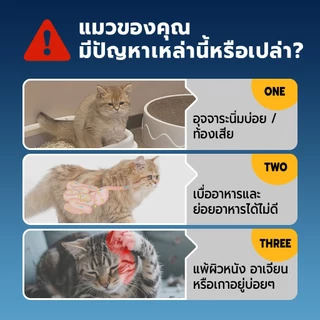 Bite Of Wild FARM อาหารแมวทูน่า ขนาด 4.5 กก. Grain free โปรตีนสัตว์ 90% เสริมโพรไบโอติกส์ สำหรับแมวกระเพาะอ่อนไหว