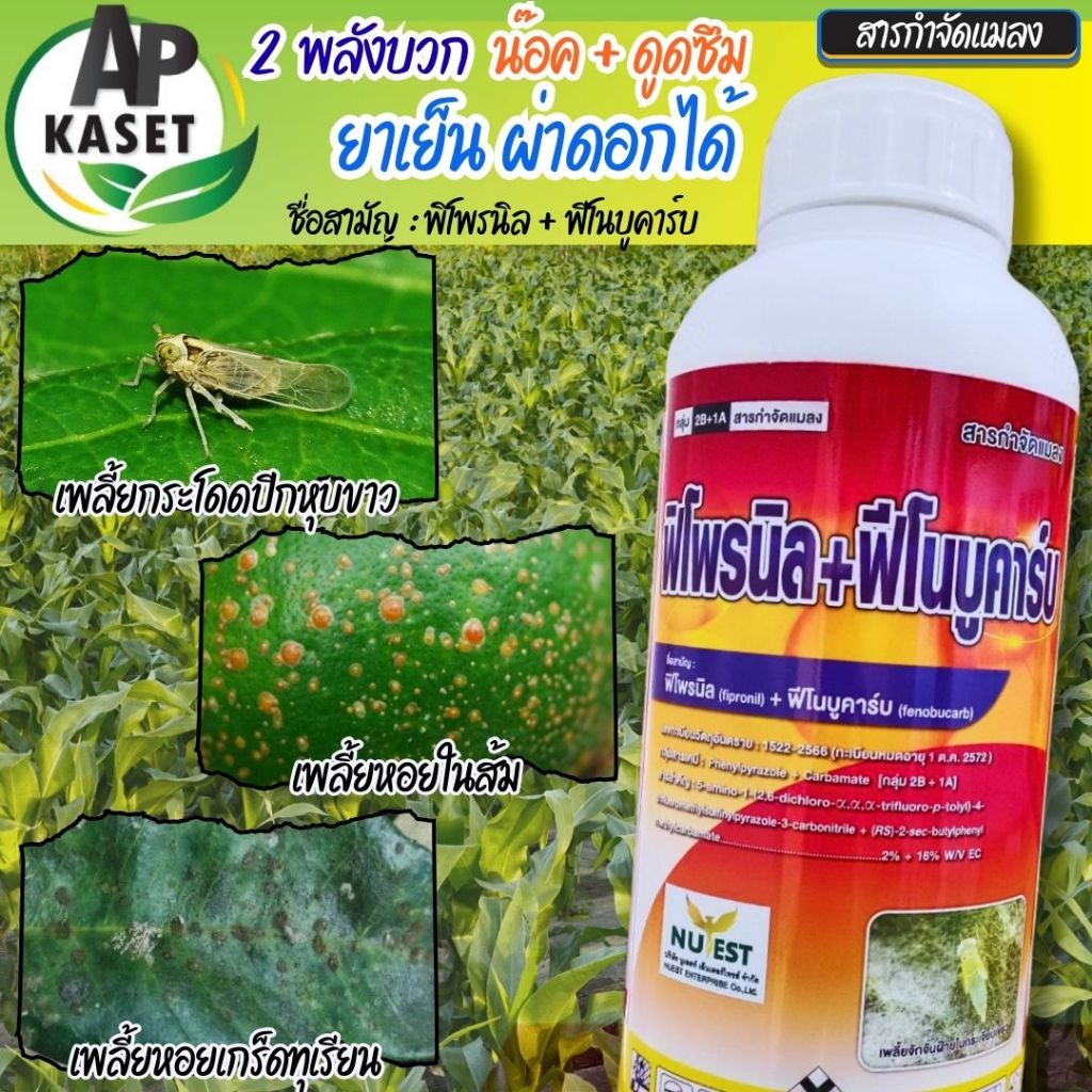 ส่งฟรี โปร 1 แถม 1 ยาเย็น ผ่าดอกได้ เพลี้ย หนอน มอด มด ปลวก ด้วง 2 พลังบวก พิโพรนิล ฟีโนบูคาร์บ ขนาด 1 ลิตร