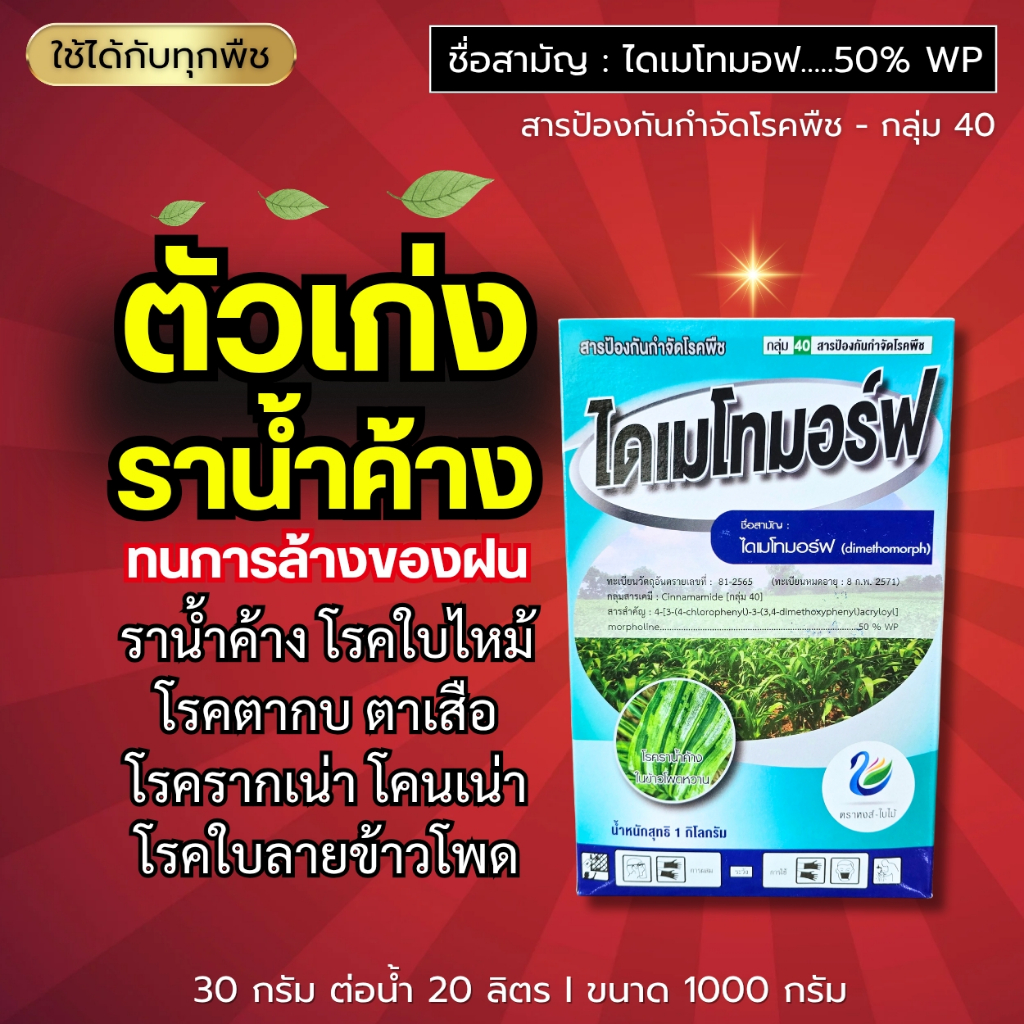 ไดเมโทมอฟ 50% : เก่งราน้ำค้าง ไฟทอปธอรา ราแป้ง ราดำ แอนแทรคโนส ใบติด โรคเน่า : 1 กิโลกรัม