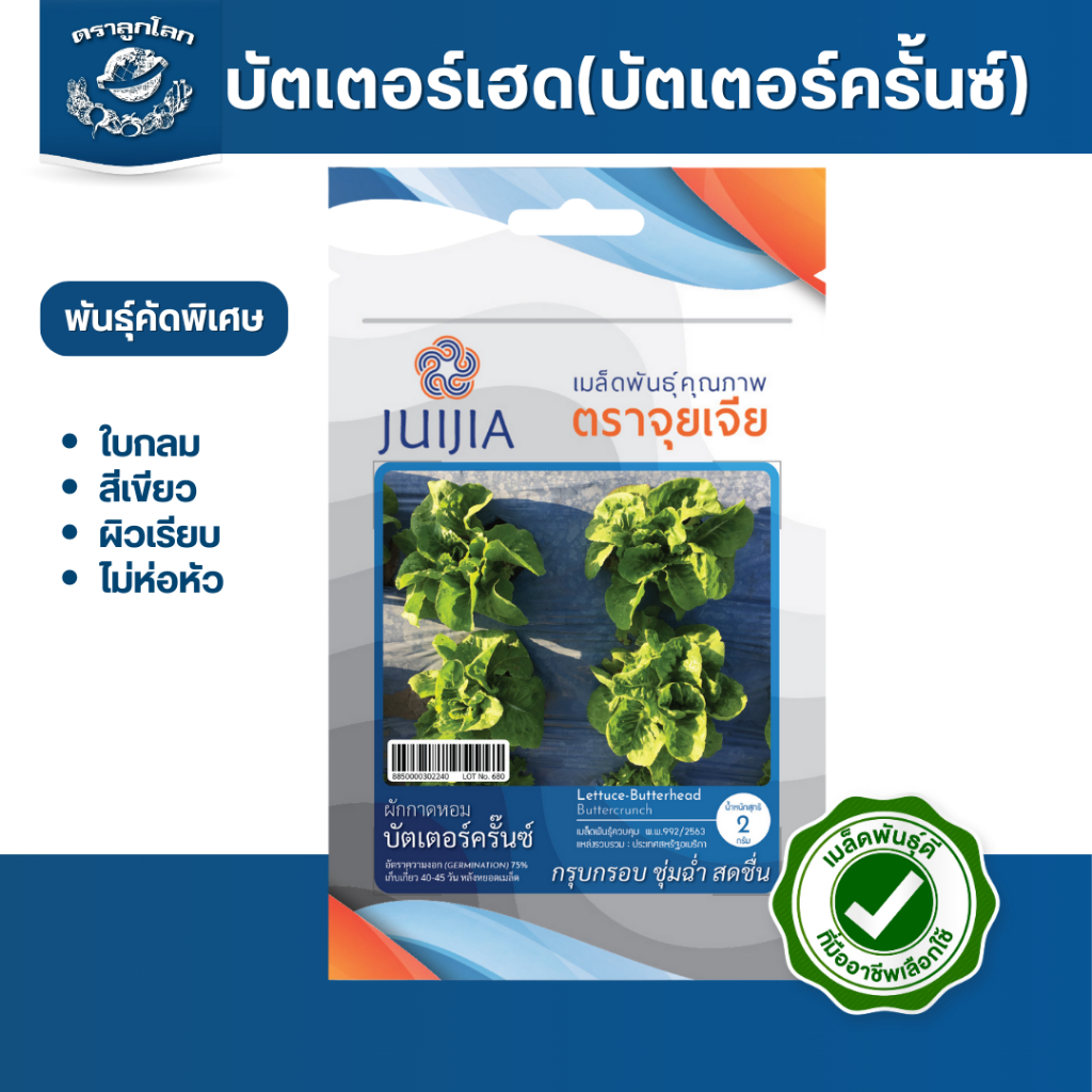 ตราลูกโลก เมล็ดบัตเตอร์เฮด(บัตเตอร์ครั้นซ์) Lettuce เมล็ดพันธุ์ผัก ผักซอง ผักสลัด เมล็ดผักสลัด ขนาด 2 กรัม