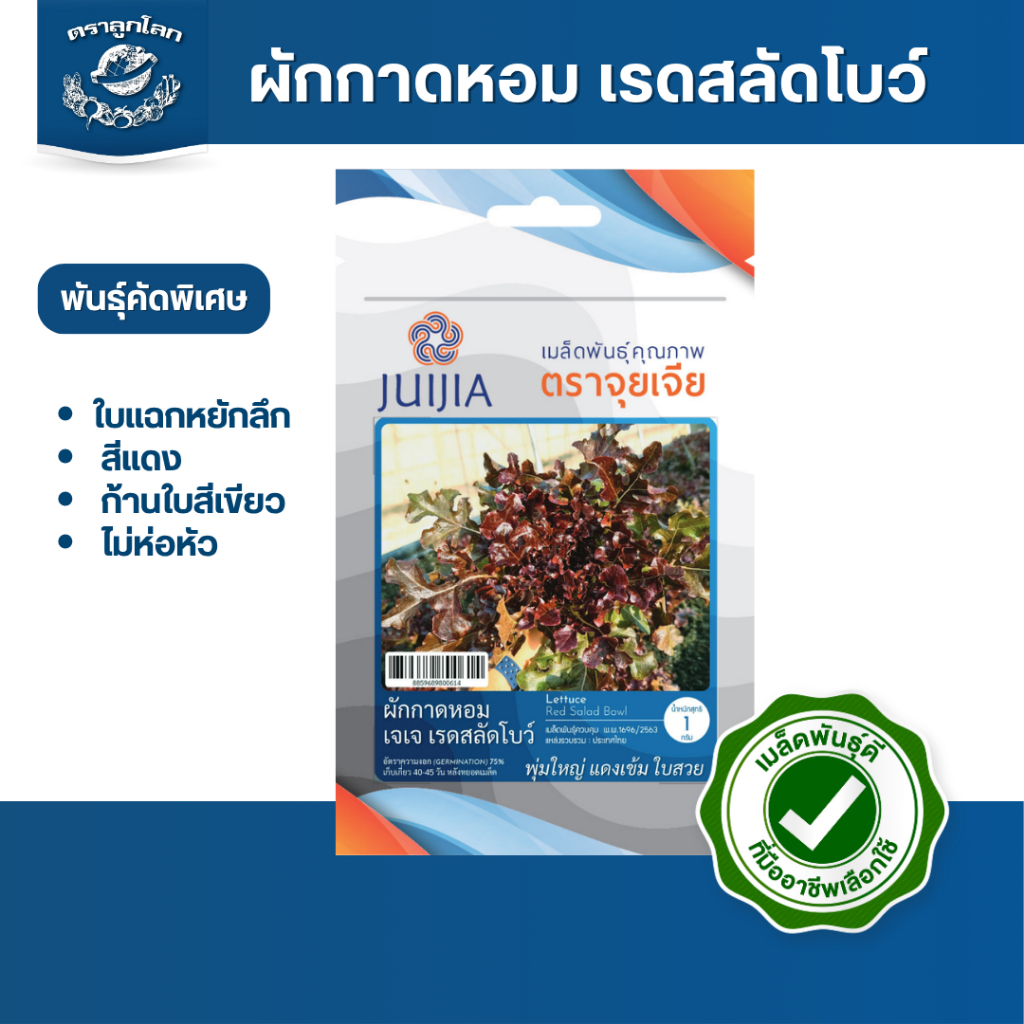 ตราลูกโลก เมล็ดผักกาดหอม เรดสลัดโบว์ Lettuce เมล็ดพันธุ์ผัก ผักสวนครัว ผักซอง ลูกโลก