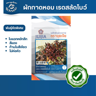 ตราลูกโลก เมล็ดผักกาดหอม เรดสลัดโบว์ Lettuce เมล็ดพันธุ์ผัก …