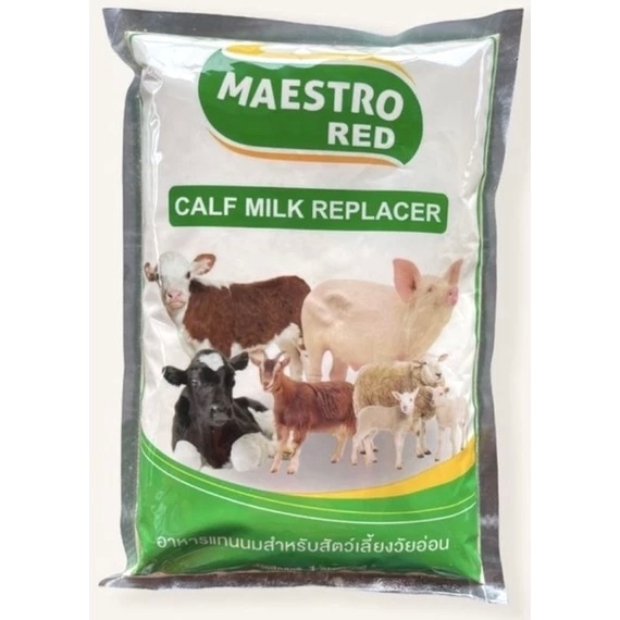 นมผง  Maestro 1kg นมทดแทนสำหรับแทนนมแม่วัว Calf milk replacer