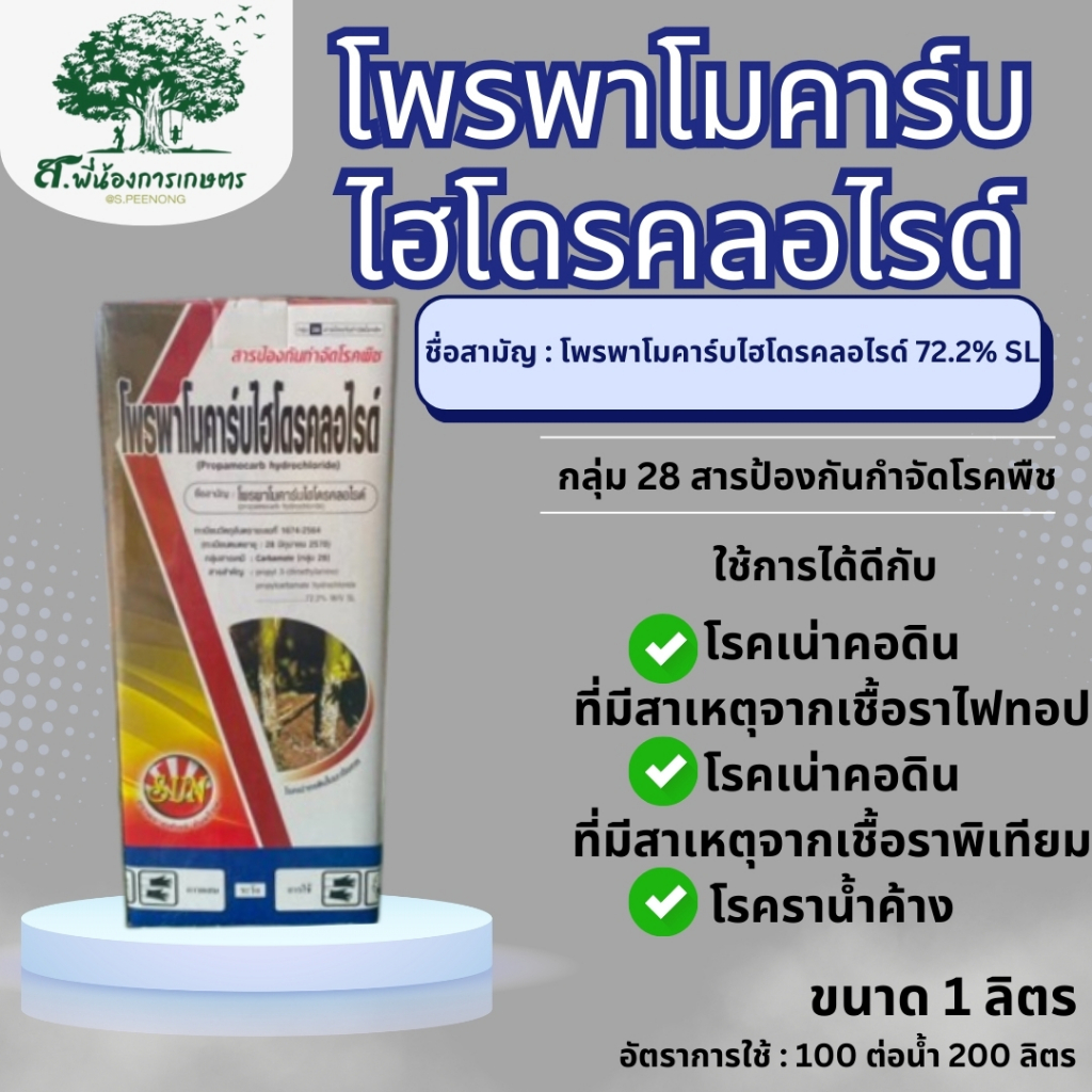 โพรพาโมคาร์บไฮโดรคลอไรด์ สารป้องกันกำจัดโรคพืช 1 ลิตร โรคเน่าดำหรือเน่าเข้าไส้ในกล้วยไม้ ที่มีสาเหตุจากเชื้อไฟทอปเทอร่า