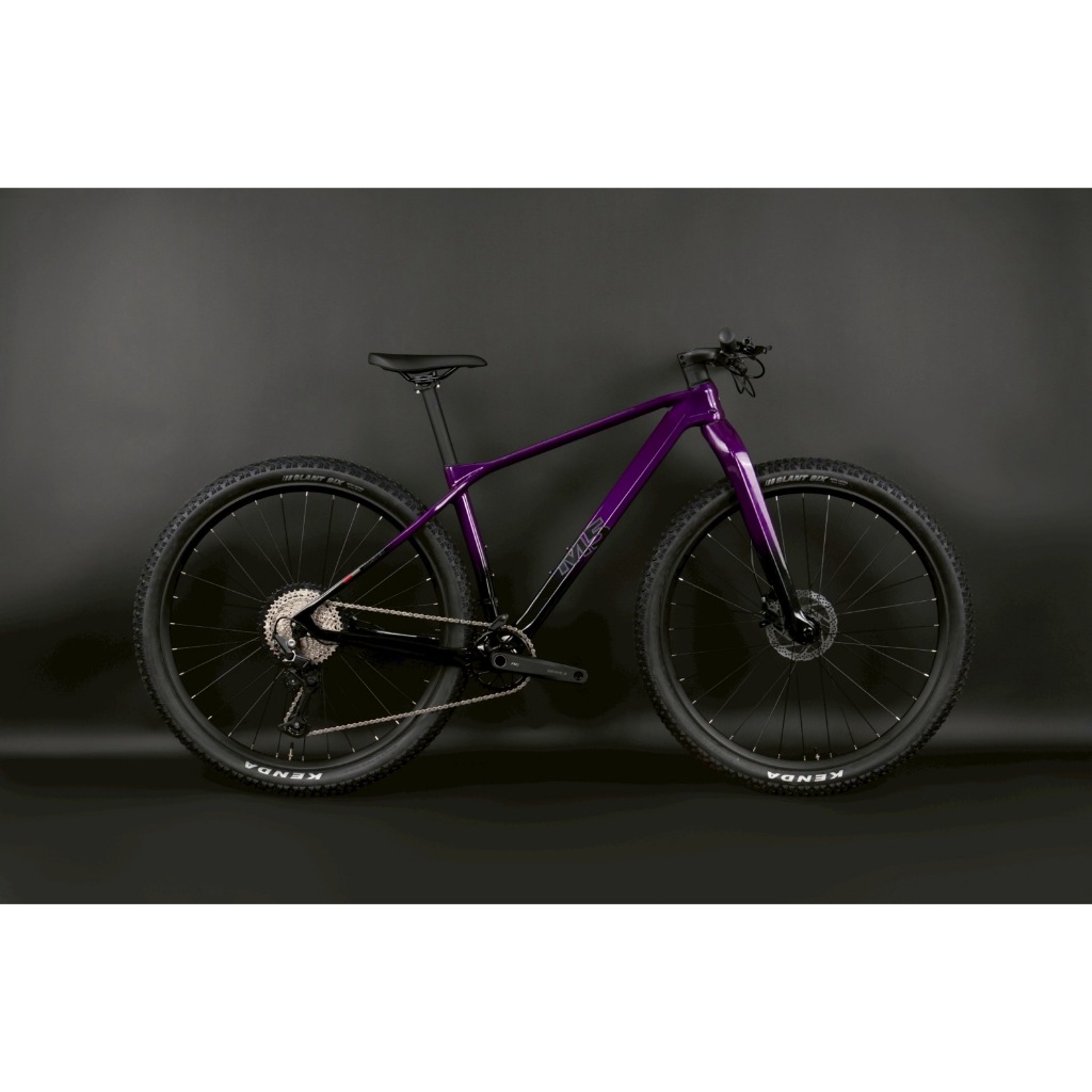 จักรยานเสือภูเขา TWITTER M5 PRO Full CARBON Shimano Deore 12SP