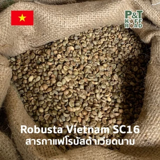 [พร้อมส่ง] สารกาแฟ Robusta Vietnam SC16 . โรบัสต้า เวียดนาม Green Bean รวม บรรจุ 500g - 1 kg. P&T KoffRoad