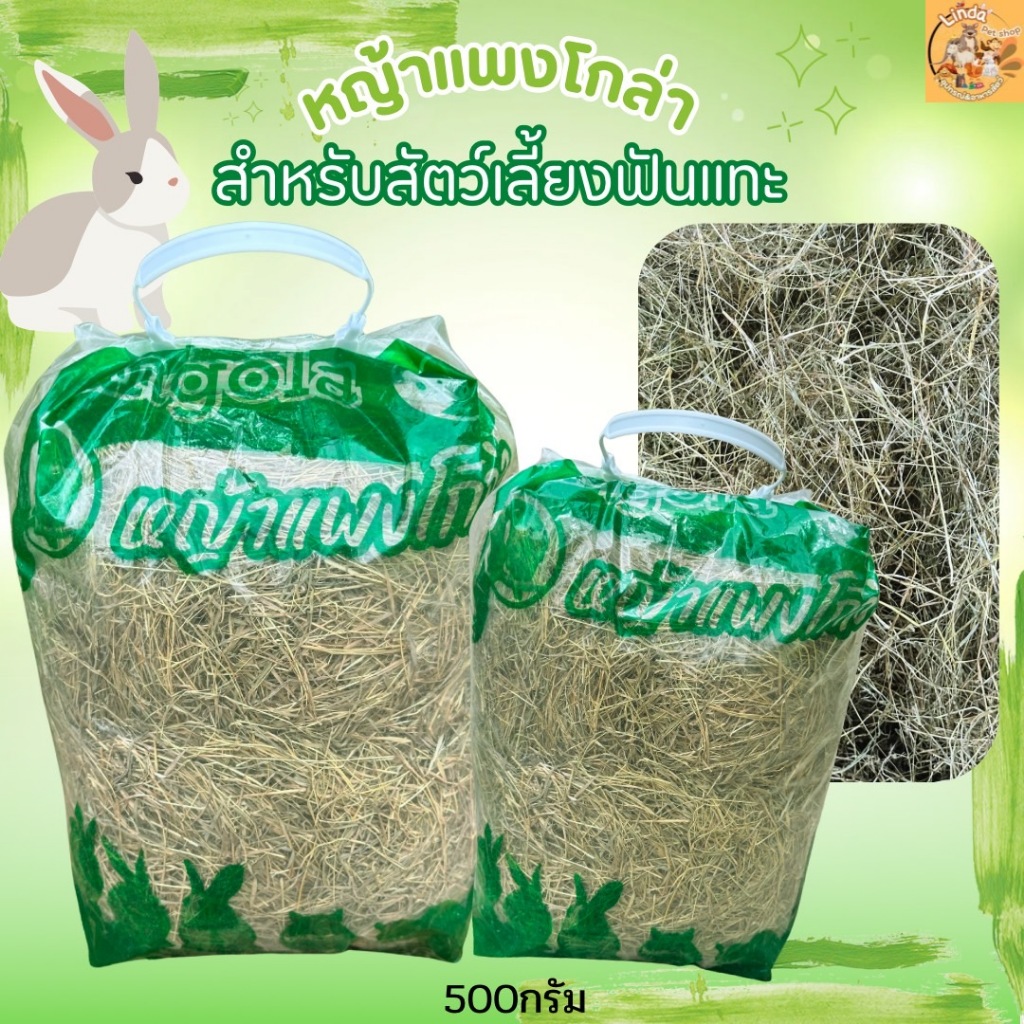 หญ้าแพงโกล่า อบแห้ง  Pangola Hay เกรดพรีเมียม 100% สำหรับกระต่าย  แกสบี้ ชินชิลล่า ช่วยลับฟัน ไฟเบอร์สูง(มี2ขนาด) ราคา ถูกที่สุด ดีลบีเคเค แกลเลอรีภาพที่ 5