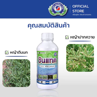ซินแทค ขนาด 500 ซีซี.│ หญ้าตีนติด หญ้าชันกาด หญ้าปากควาย│ เทพวัฒนา ตราปลาคู่ │ ยากำจัดหญ้า สารป้องกันกำจัดวัชพืช