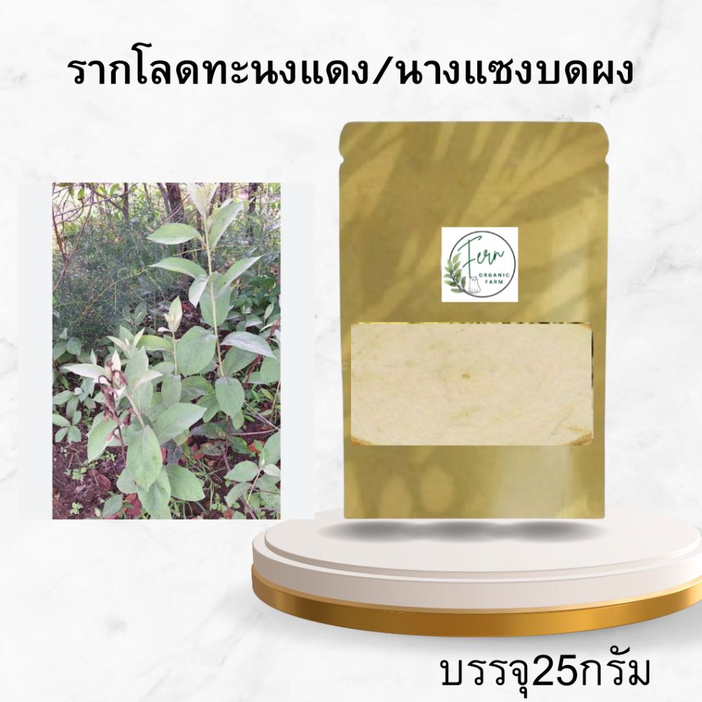 รากสมุนไพรโลดทะนงแดง/นางแซงบดผงบรรจุ25กรัม