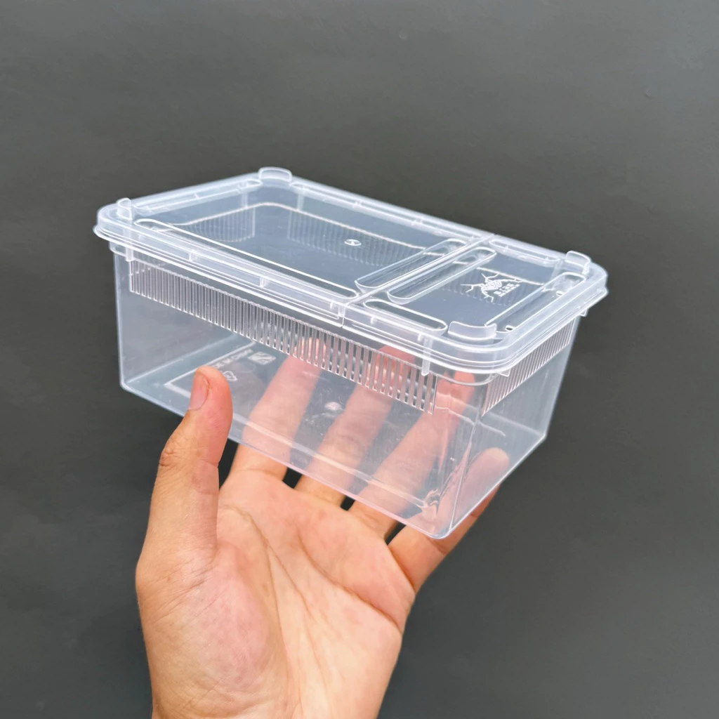Reptile Box กล่องเลี้ยงสัตว์เล็ก สัตว์เลื้อยคลาน สัตว์เล็ก ผสมพันธุ์สดกล่อง สำหรับ แมงมุม ตุ๊กแก ฮอร์นฟรอก ตะขาบ แมงป่อง