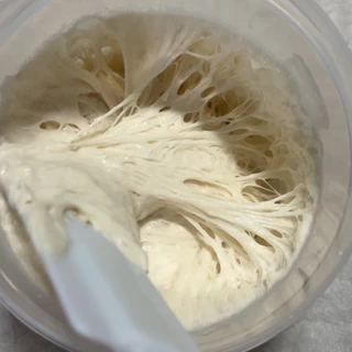 Dry yeast หัวเชื้อยีตส์จากธรรมชาติ ยีตส์แห้งสำหรับนำไปทำขนมปัง Sourdough 🥖
