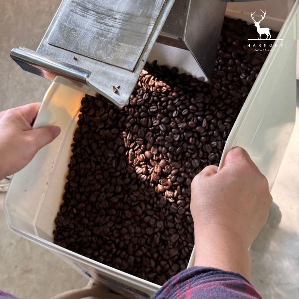 Colombia Honey grape | Cofinet Castillo| กลิ่นรสองุ่น 100g :Harmony coffee - รูปที่ 7