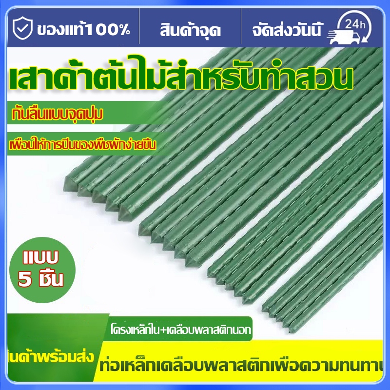ไม้ค้ำต้นไม้ เสาค้ำต้นไม้ หลักไม้เลื้อย 5 แท่ง ไม้ค้ำต้นไม้ ยาว60/90/120/150/180ซม. 8.11.16.20มม. ท่อเหล็ก PE ไม้ค้ำยัน