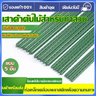ไม้ค้ำต้นไม้ เสาค้ำต้นไม้ หลักไม้เลื้อย 5 แท่ง ไม้ค้ำต้นไม้ ยาว60/90/120/150/180ซม. 8.11.16.20มม. ท่อเหล็ก PE  ไม้ค้ำยัน