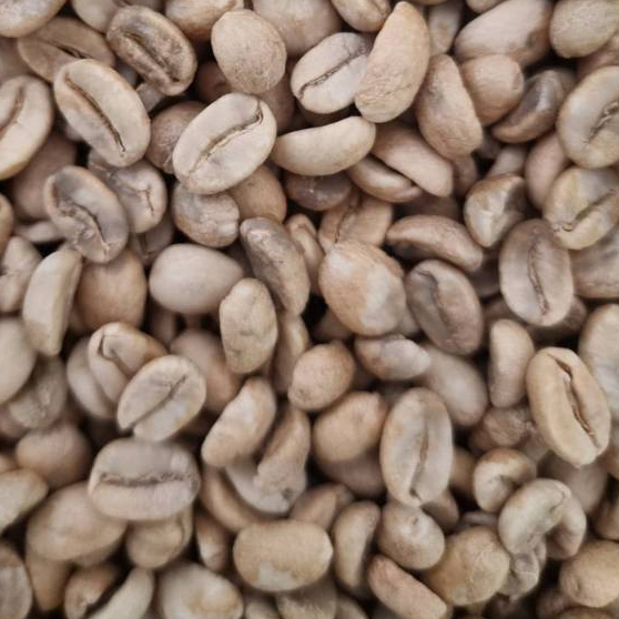 สารกาแฟหมักรัม (Colombia Rum) รูปที่ 4