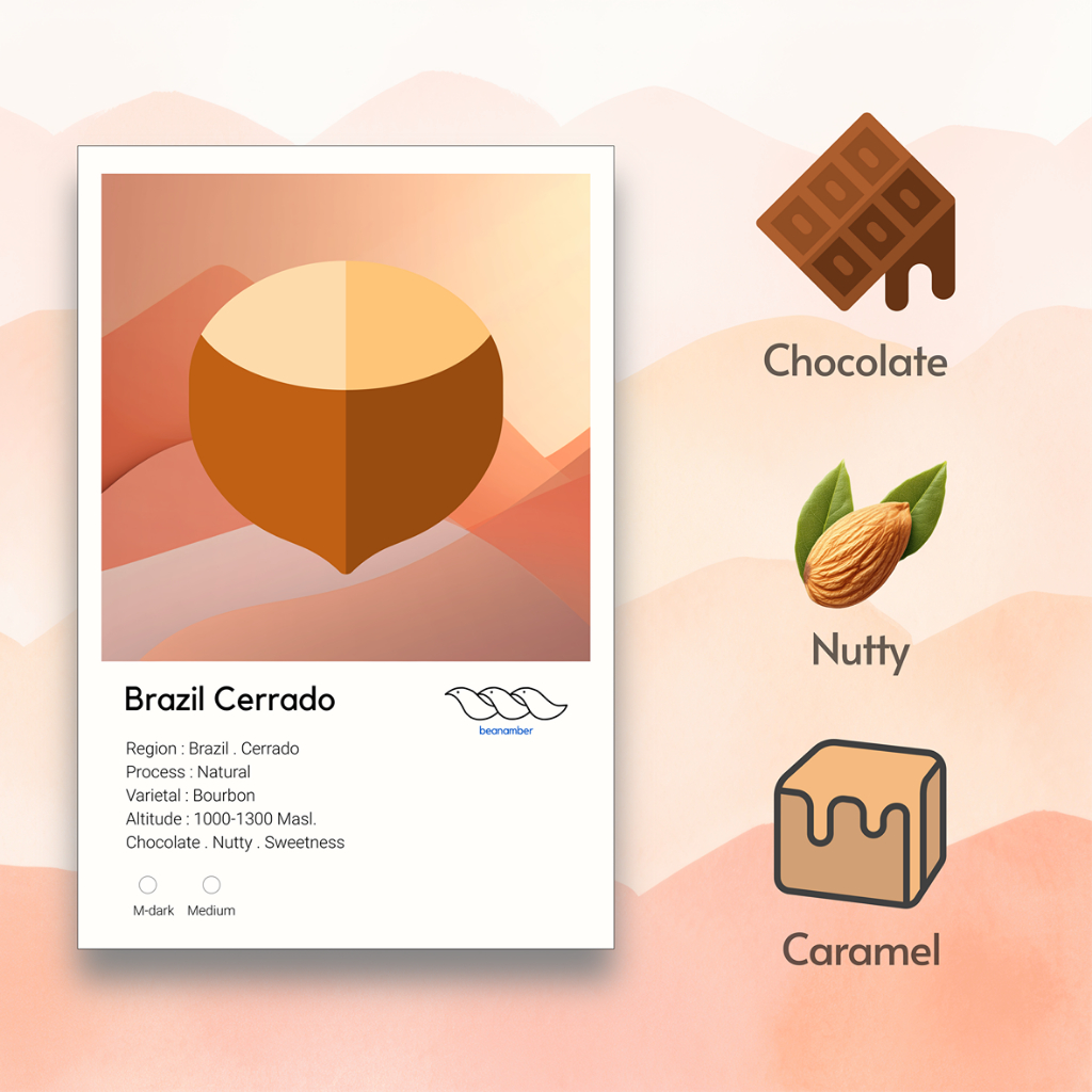 เมล็ดกาแฟคั่วบราซิล Brazil Cerrado Finecup Natural เลือกระดับการคั่วได้
