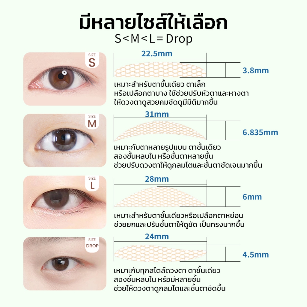 รูปภาพ 2