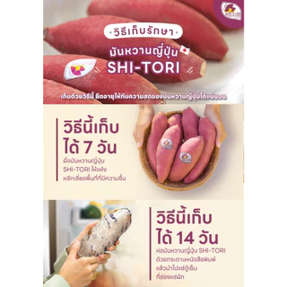Live 🍠 Shi-tori มันหวานญี่ปุ่นเบนิฮารุกะ Size S กลิ่นหอม รสชาติหวาน เนื้อฉ่ำ นำเข้าจากญี่ปุ่น