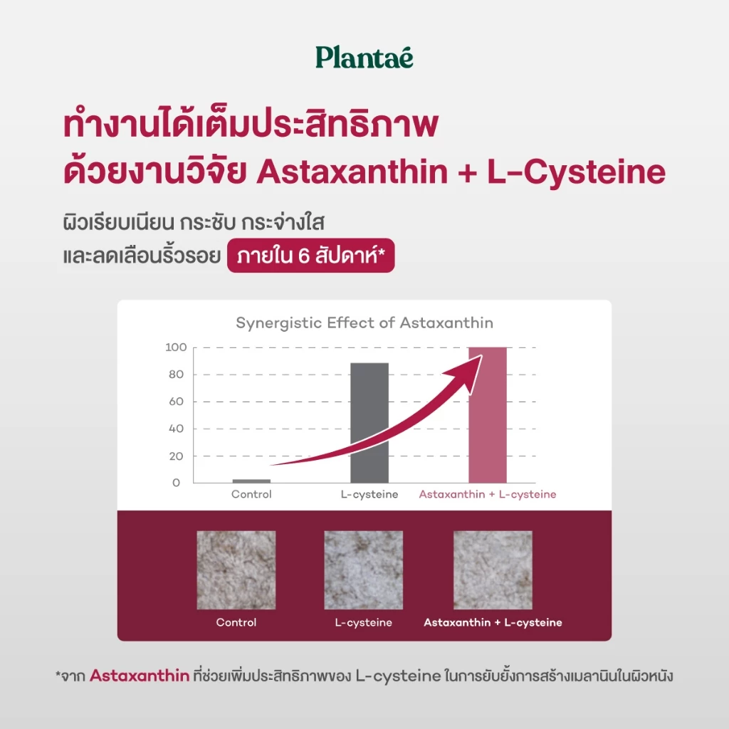 Plantae Glow Essentials กระปุก โปรตีนพืช อาหารผิว Astaxanthin แอสต้าแซนธิน CoQ10 Collagen โปรตีนจากพืช plant based thumbnail 8