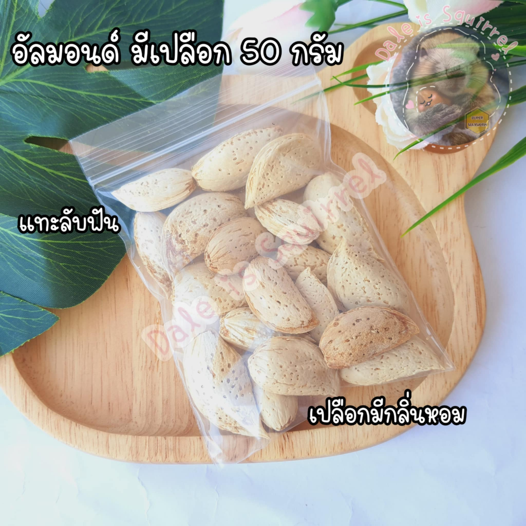 อัลมอนด์ มีเปลือก 50 กรัม แทะลับฟัน  อาหารกระรอก นก หนู อาหารสัตว์  สัตว์ฟันแทะ