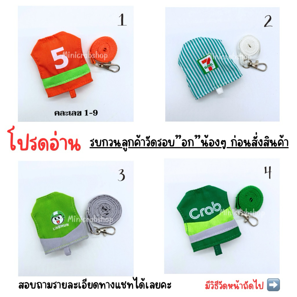 ชุดชูก้า กระรอก สัตว์เลี้ยงขนาดเล็ก [ชุดที่ 1]