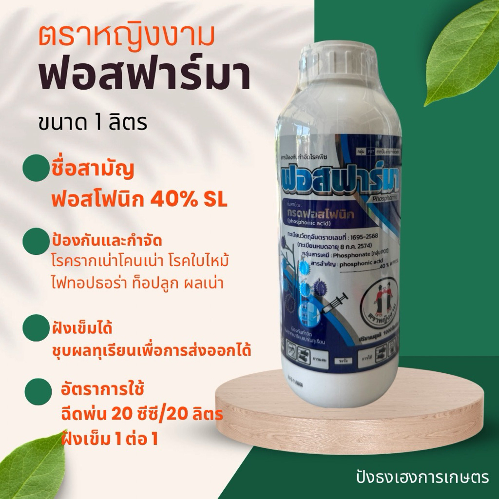 ฟอสฟาร์มา 1 ลิตร ตราหญิงาม กรดฟอสโฟนิก40% SL ฉีดพ่นได้ ฝังเข็มได้ ป้องกันและรักษารากเน่าโคนเน่า