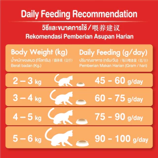 Exclusive Online [4 kg-14 kg] อาหารแมว Cat n Joy Triple Protection แค็ทเอ็นจอย รสแซลมอน ขนาดใหม่เฉพาะออนไลน์ แมวโต 1ปี+