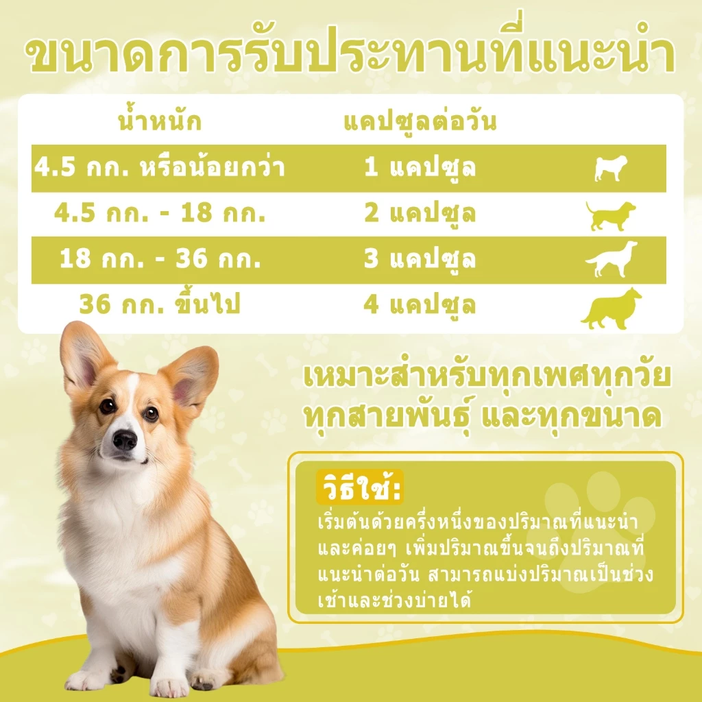 Popoo Multivitamins for Dogs วิตามินหมา อาหารสุนัข บำรุงสะโพกและข้อ ผิวหนังและขน การทำงานของลำไส้ ขนมสุนัข 120 แคปซูล thumbnail 8
