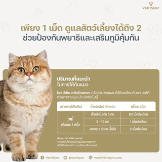 ARMETAB ZINC+ แมว (กล่อง12เม็ด) ผลิตภัณฑ์เสริมอาหาร(เห็บ-หมัด-พยาธิ-ไร) ดูแลผิวหนัง และทางเดินอาหารของแมว
