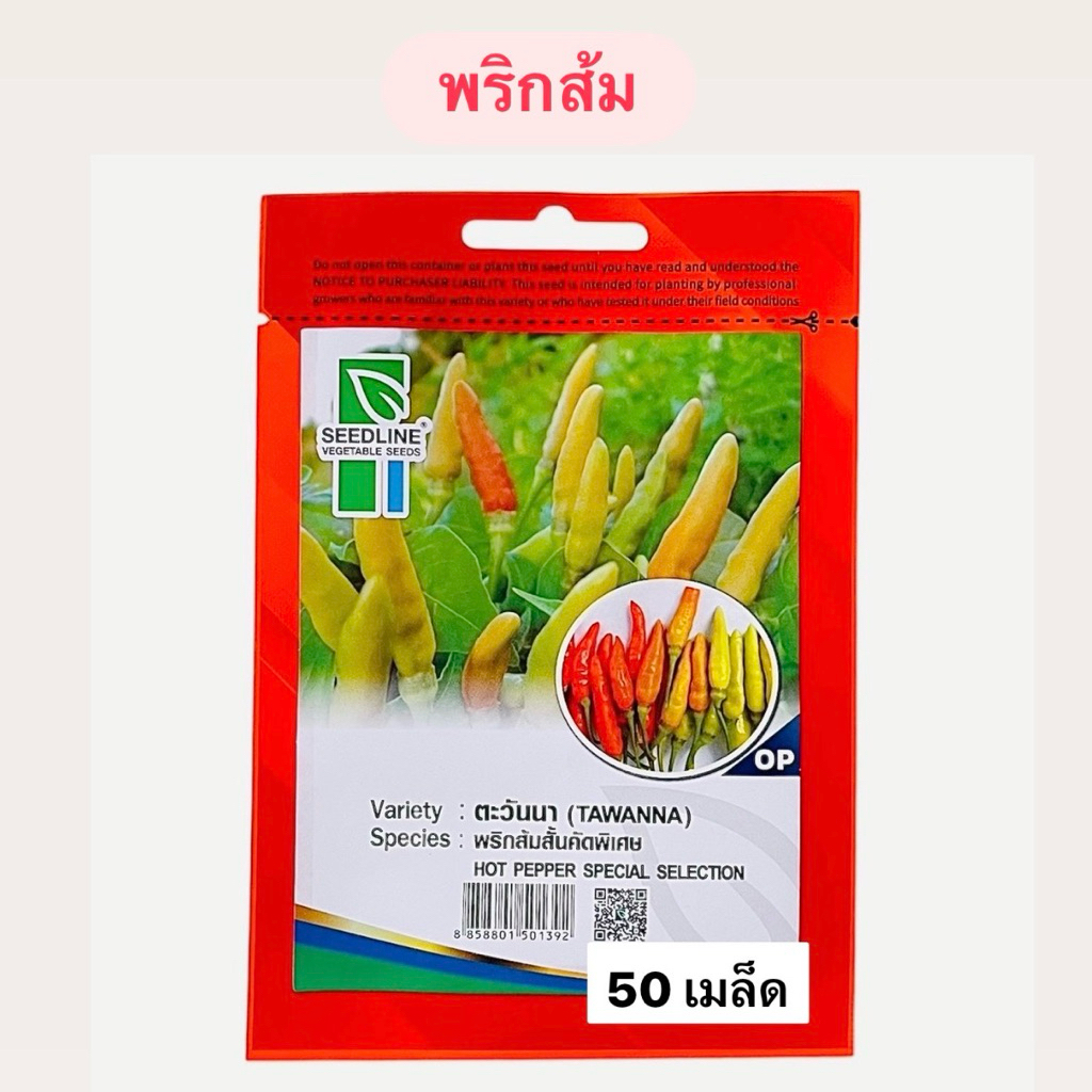 พริกส้ม สั้น ตะวันนา (50 เมล็ด) ซีดไลน์