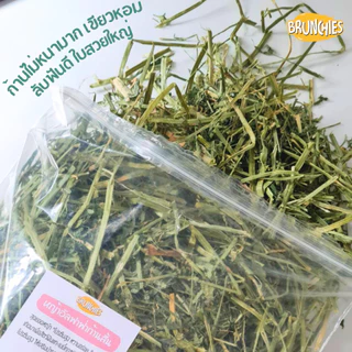 Brunchies หญ้าอัลฟาฟ่าอย่างดีร่อนฝุ่น (1kg) พรีเมียม สับ/ก้านสั้น สำหรับกระต่าย แกสบี้ ชินชิลล่า
