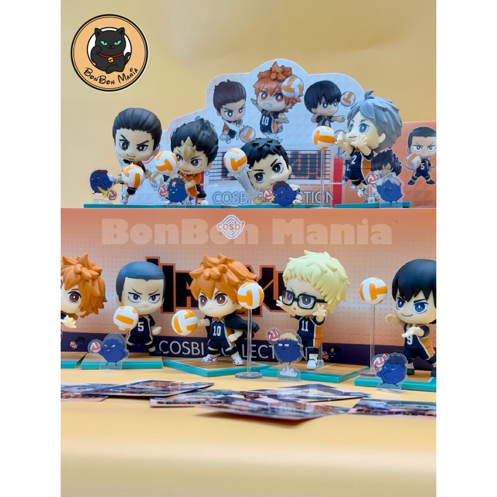 [แบบแยก-เลือกตัวได้]🏐HOT TOYS HAIKYUU!! Cosbi Collection blind box set