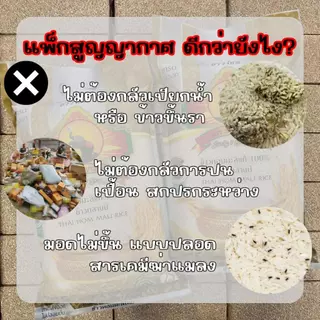 ข้าวเหนียวนาปี กข.6 (ข้าวใหม่ปี69)ข้าวนุ่มตลอดวัน ขนาด1KG ตราพญาไอยรา