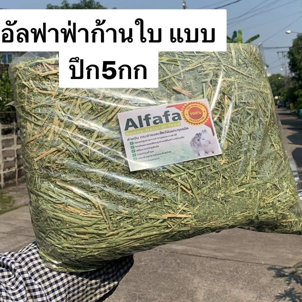 อัลฟาฟ่าก้านใบ แบบปึก5กก และฟ่อน25-29กก