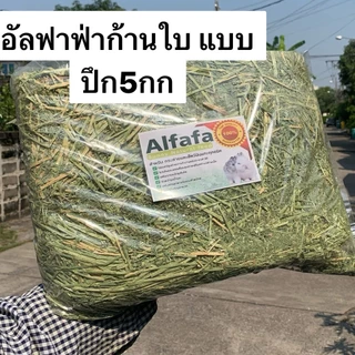 อัลฟาฟ่าก้านใบ แบบปึก5กก และฟ่อน25-29กก