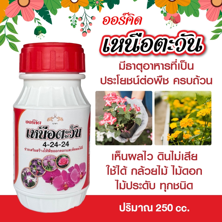 ออร์คิดเหนือตะวัน ปุ๋ยน้ำไม้ดอก 4-24-4 น้ำยาเร่งดอก เร่งขั้วสี  ติดผลดี 250 cc ปุ๋ย