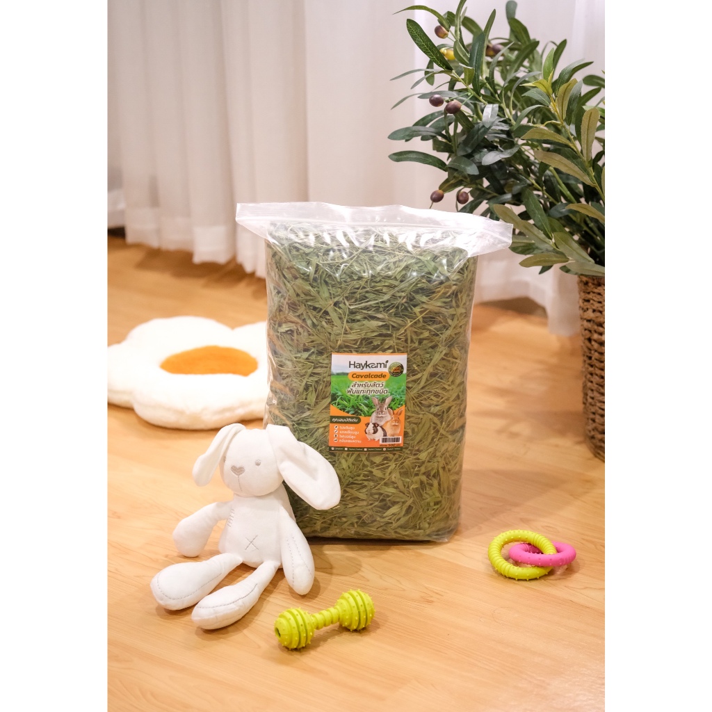 Haykami cavalcade 500 g. ถั่วคาวาเคตอบแห้ง หญ้ากระต่ายอบแห้ง หญ้าแห้งสำหรับสัตว์ฟันแทะ