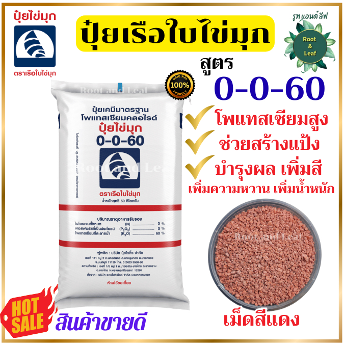 ปุ๋ยเรือใบไข่มุก สูตร 0-0-60 แบบตักแบ่ง สำหรับเร่งการสะสมแป้ง ขยายขนาดของผลให้ใหญ่ มีน้ำหนัก และรสชาติดี