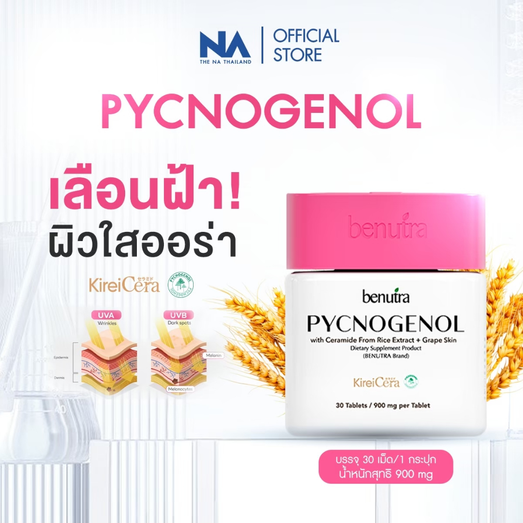 < 1 กล่อง > Benutra PYCNOGENOL with Ceramide + Grape Skin พิกโนจีนอล ลดเลือนฝ้า กระ จุดด่างดำ