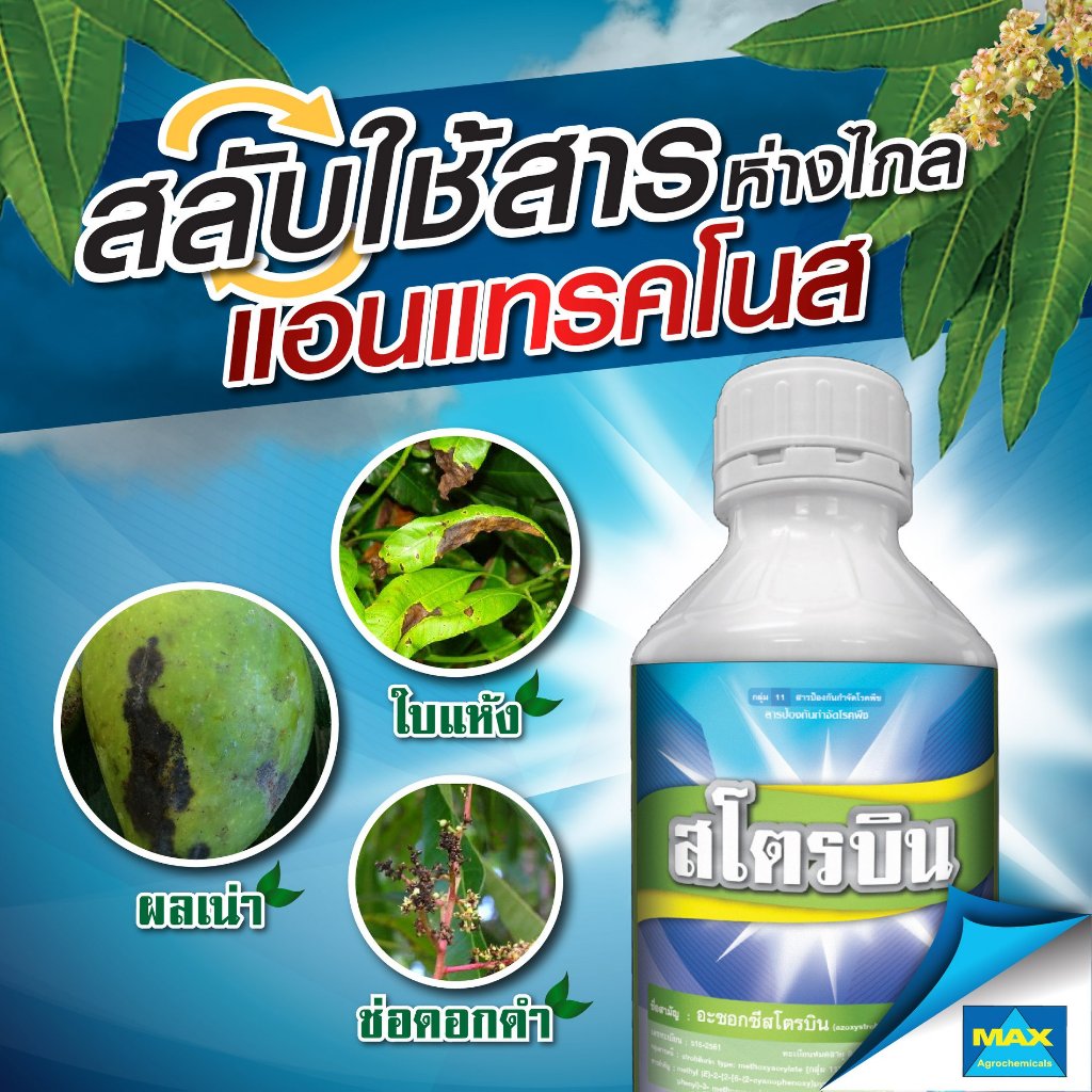 สโตรบิน ขนาด 1 ลิตร อะซอกซีสโตรบิน25% SC ตรา แมกซ์
