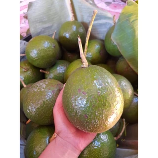 ‼️ส่งฟรี‼️ AVOCADO #บัคคาเนีย 🌈 3โล 170 บาท ✅️เหนียวมันเนยหนึบ