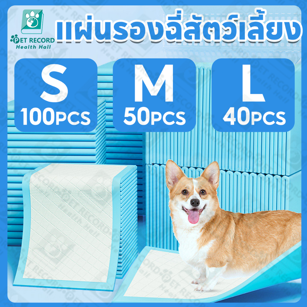 Pet Record แผ่นรองฉี่สุนัข แผ่นรองฉี่ต่อต้านแบคทีเรียซึมซับไดีดีผ้ารองฉี่ถาดรองฉี่สุนัขแผ่นรองฉี่แมว