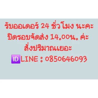 ผงสี สีฝุ่น ผสมปูนและคอนกรีต Iron Oxide Pigment Yellow 313