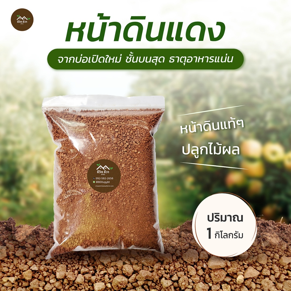 หน้าดินแดง หน้าดินแท้ๆ ปลูกไม้ผล พืชผักสวนครัว