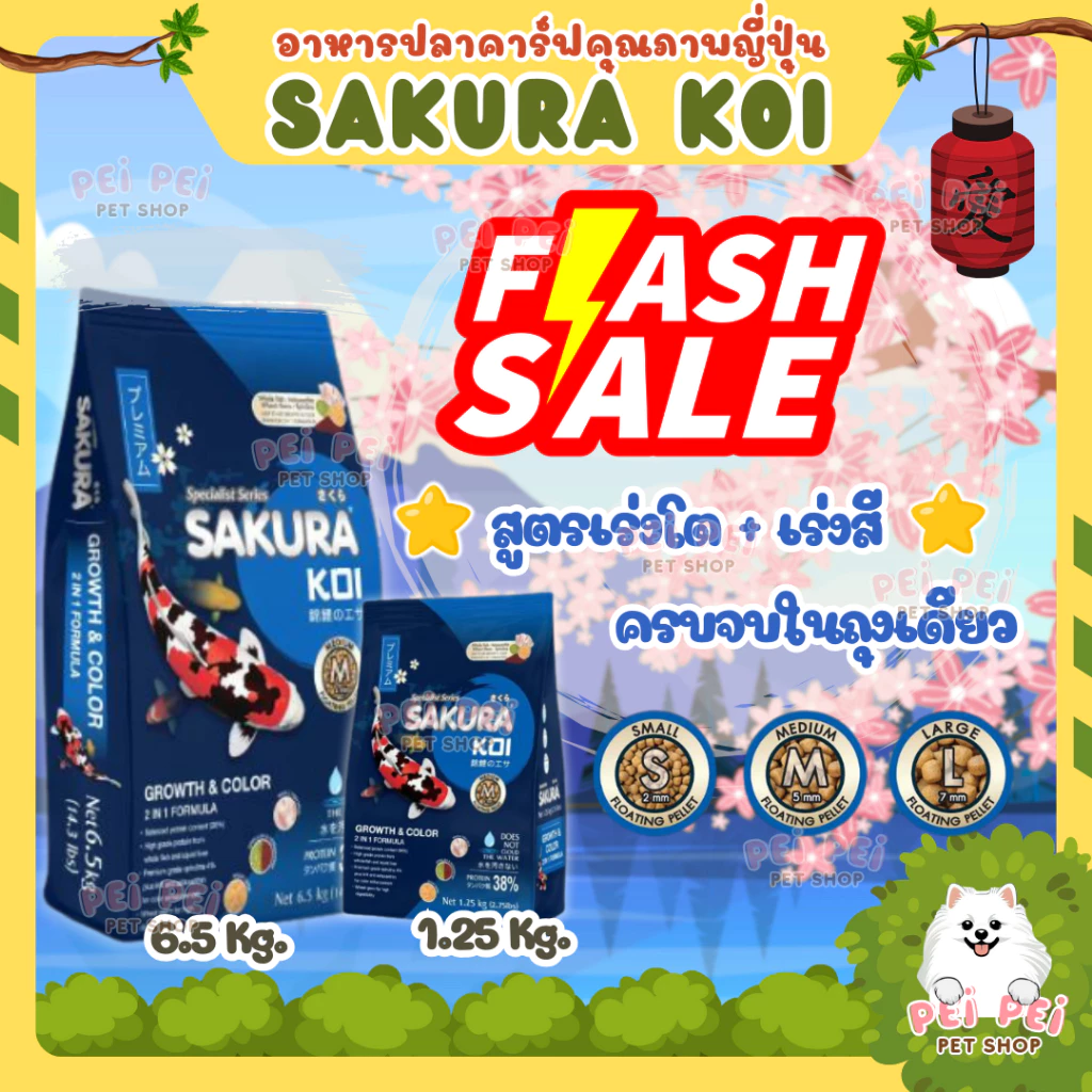 ⚡Flash Sale⚡อาหารปลาคาร์ฟ Sakura Koi (ซากุระ โค่ย) สูตรเร่งโต+เร่งสี ขนาด 1.25 กก และ 6.5 กก.