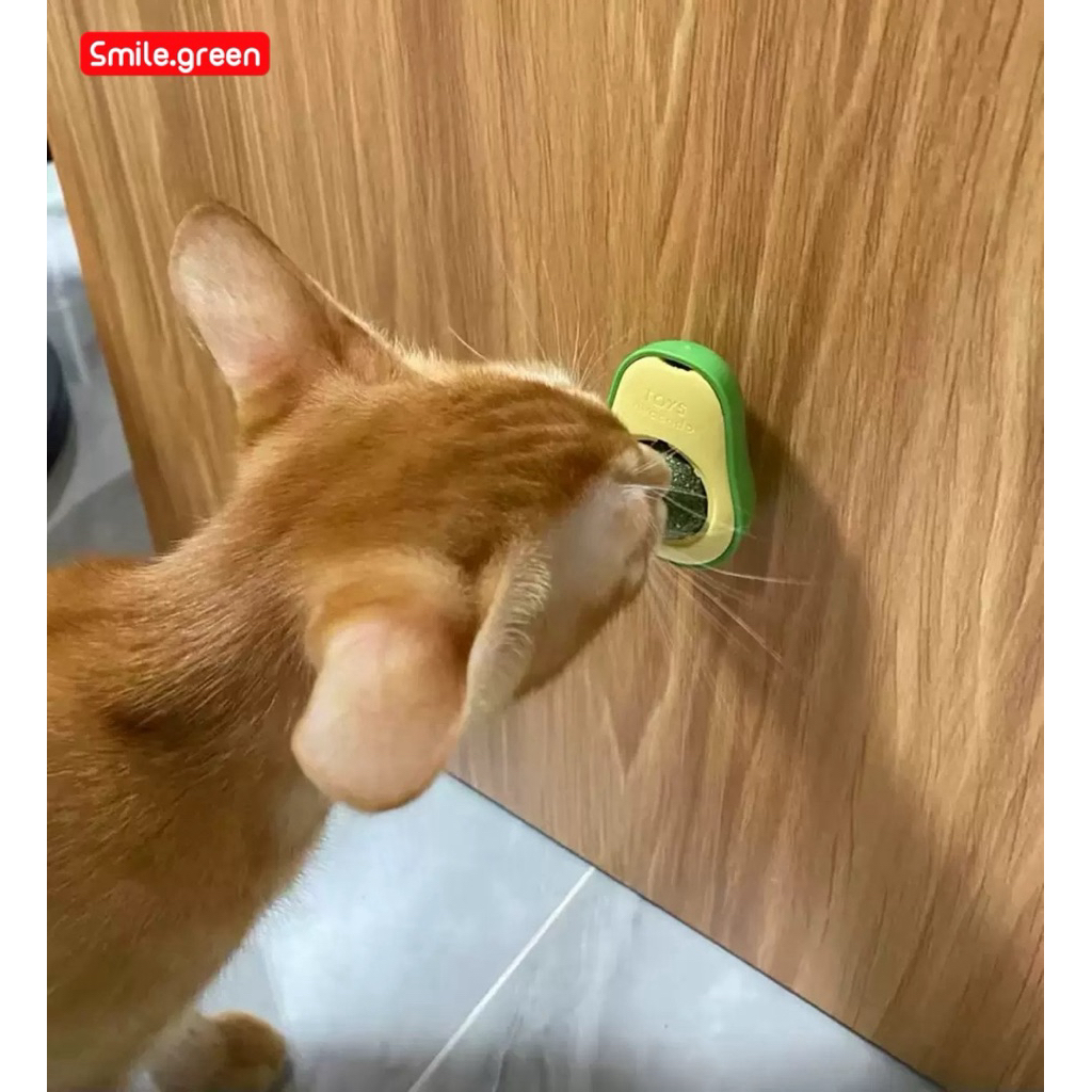 กัญชาแมว Catnip Ball ลูกกลมแคนดี้สำหรับแมว หญ้าแมว ของเล่นแมว ปลอดภัย ช่วยผ่อนคลาย ลดความเครียด - รูปที่ 5