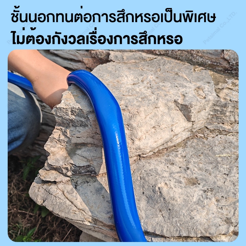 รูปภาพ 9